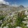 Digitales à petites fleurs (Digitalis parviflora) et Pic de Mancondiu, massif oriental des Pics d'Europe
