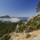 Sentier de la Trapa, Asphodèle ramifié (Asphodelus ramosus) face à l'île de la Dragonera - Majorque