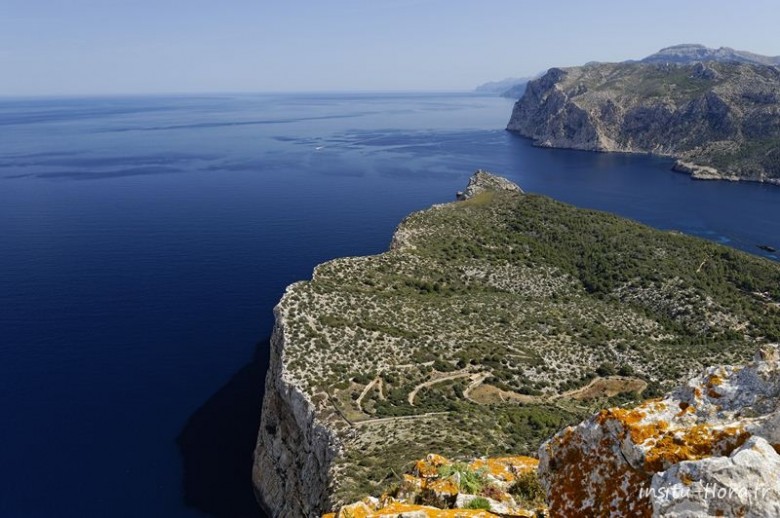 Pointe nord de l'île de la Dragonera, vue sur la côte rocheuse de Majorque - avril 2013