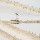 Les échasses blanches affectionnent les marais salants ; Himantopus himantopus L. * - Ile de Ré, 2011