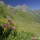 Œillet barbu (Dianthus barbatus) au pied du Mont Valier - Cirque d’Aulas, le 28 juillet 2016