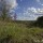 Orchis bouffon (Anacamptis morio) - Vallée du Lot, le 13 avril 2016